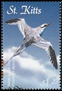 Clements: Red-billed Tropicbird (Phaethon aethereus)(Repeat for this country)  new (2001) 