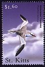 Clements: Red-billed Tropicbird (Phaethon aethereus) SG 605 (2001) 